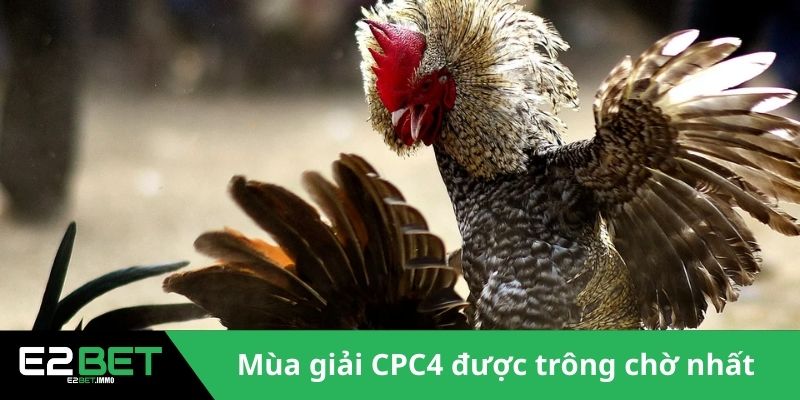 Mùa giải CPC4 được trông chờ nhất 